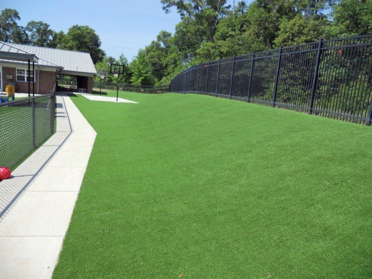 Artificial Lawn Golden Lakes, Florida Backyard Playground, Commercial Landscape