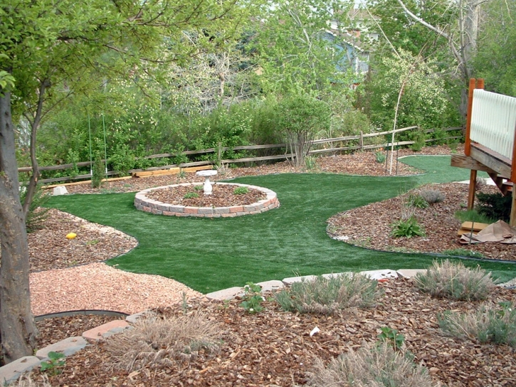 Artificial Lawn Indiantown, Florida Gardeners, Backyard Design