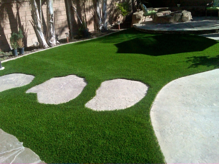 Artificial Lawn Kings Point, Florida Design Ideas, Backyards