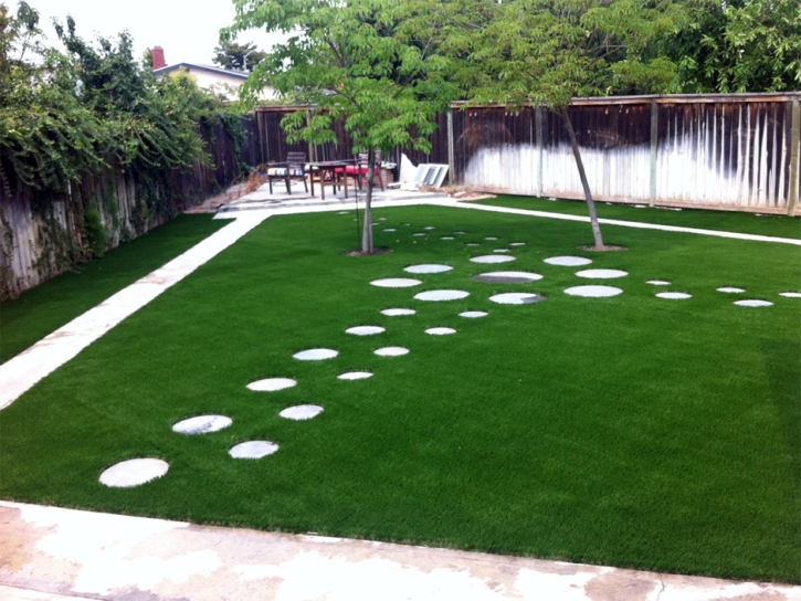 Artificial Lawn North Lauderdale, Florida Landscape Rock, Backyard Garden Ideas