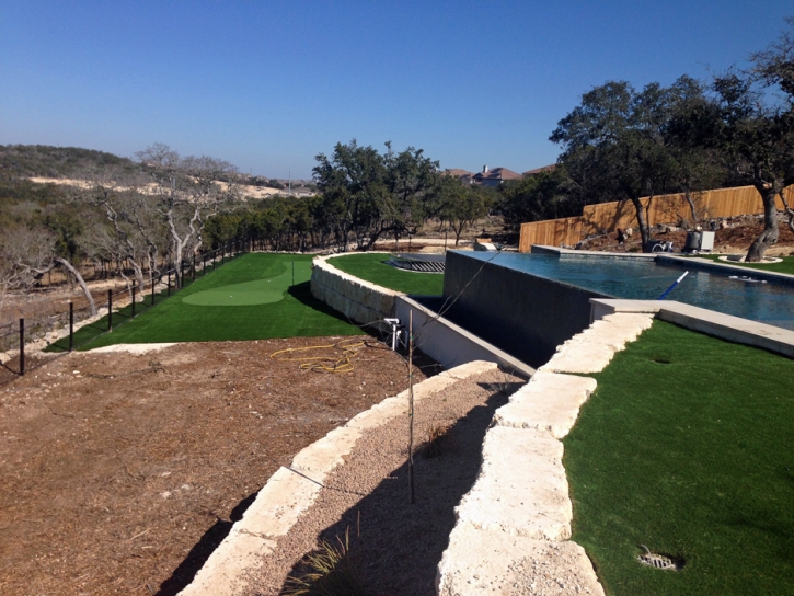 Artificial Lawn Southeast Arcadia, Florida Backyard Putting Green, Backyard Design