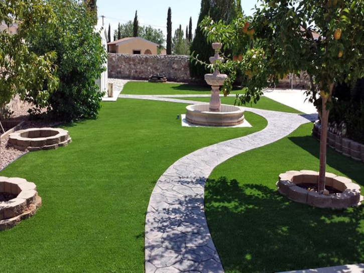 Artificial Turf Captiva, Florida City Landscape, Backyard Landscaping Ideas