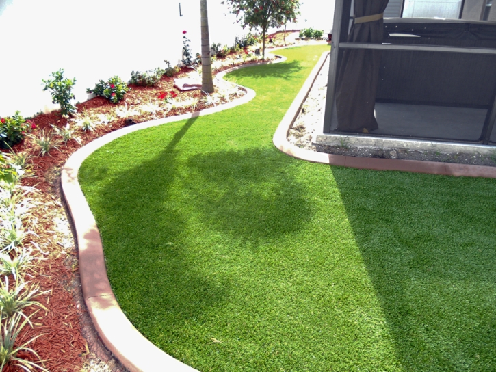 Artificial Turf Charleston Park, Florida Paver Patio, Backyard Landscape Ideas