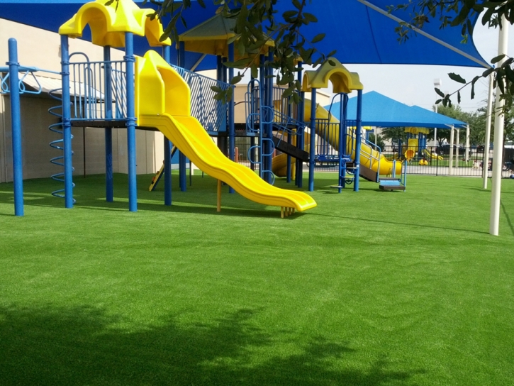 Artificial Turf Cost Alafaya, Florida City Landscape, Commercial Landscape