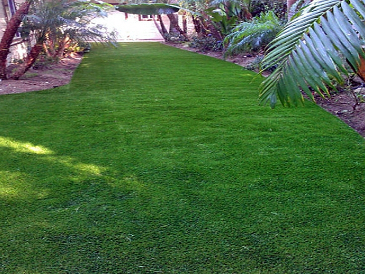 Artificial Turf Cost Atlantis, Florida Landscape Design, Beautiful Backyards