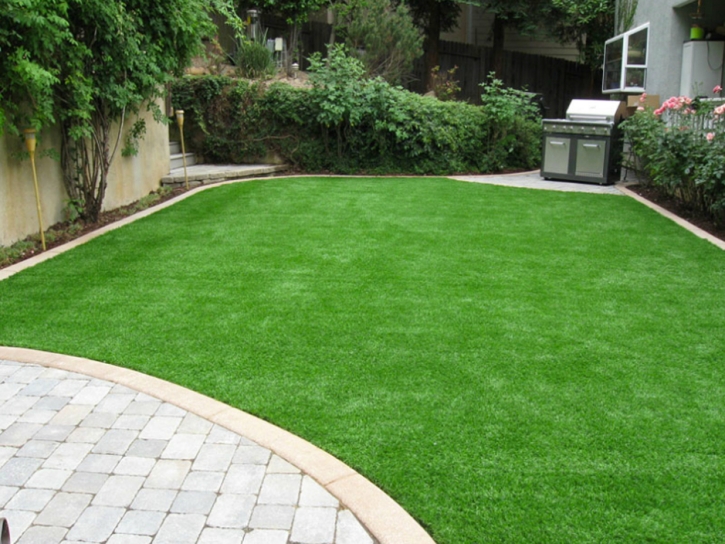 Artificial Turf Cost Broadview Park, Florida Home And Garden