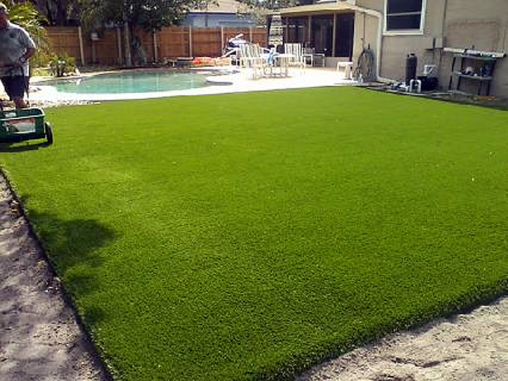 Artificial Turf Cost Buckingham, Florida Paver Patio, Backyard Ideas