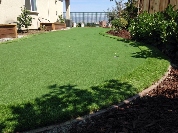 Artificial Turf Cost Delray Beach, Florida Gardeners, Backyard Makeover