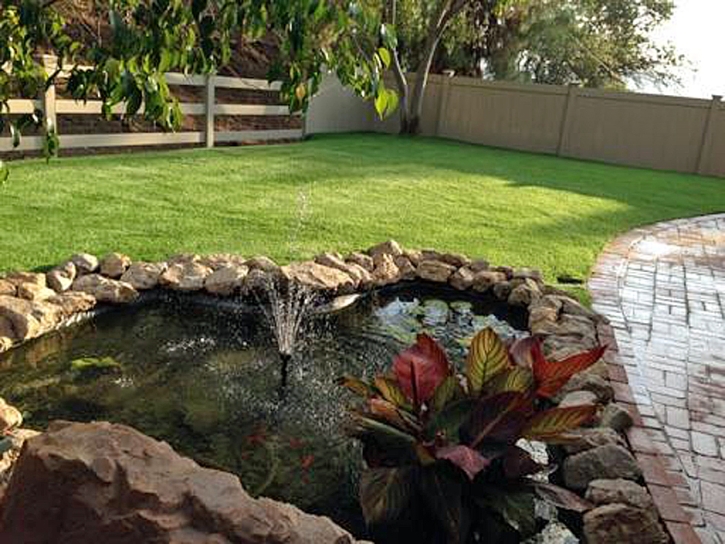 Artificial Turf Cost Dunes Road, Florida Landscaping, Small Backyard Ideas