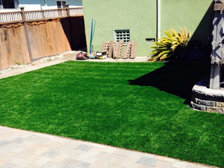 Artificial Turf Cost Englewood, Florida Artificial Turf For Dogs, Backyard Makeover