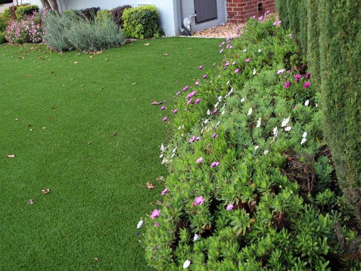 Artificial Turf Cost Golfview, Florida Gardeners, Front Yard Landscape Ideas