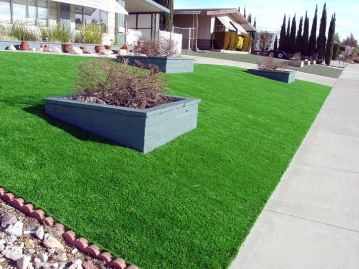 Artificial Turf Cost Goodland, Florida City Landscape, Front Yard Landscape Ideas