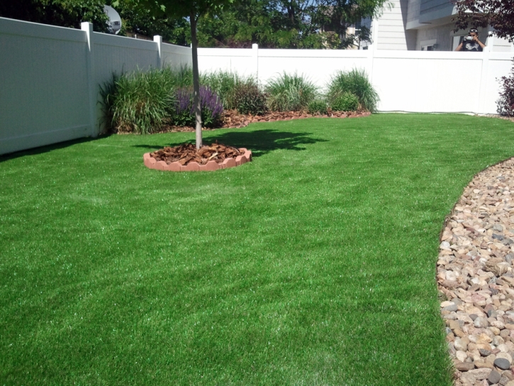 Artificial Turf Cost Olympia Heights, Florida Gardeners, Backyard Garden Ideas