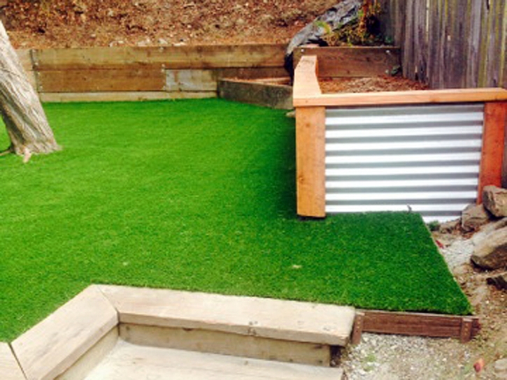 Artificial Turf Cost Plantation, Florida Landscape Design, Backyard Designs