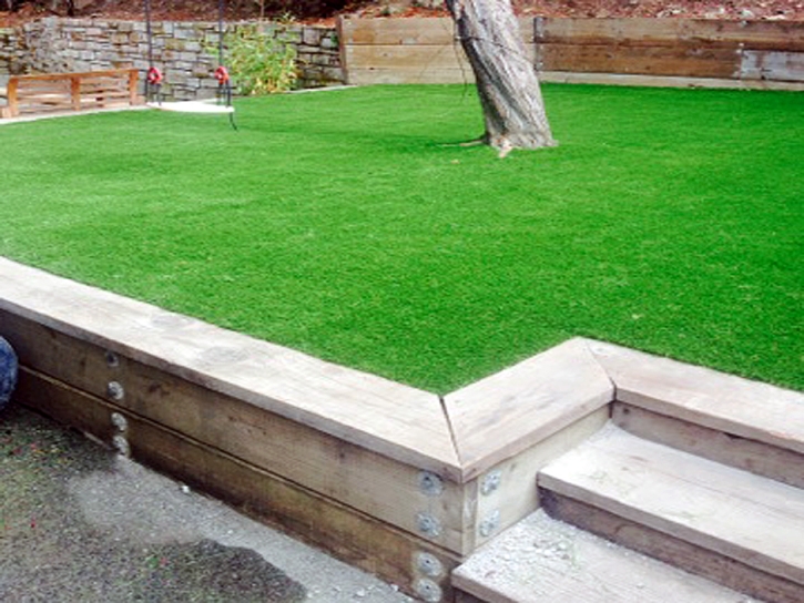 Artificial Turf Cost Vamo, Florida Landscape Rock, Small Backyard Ideas