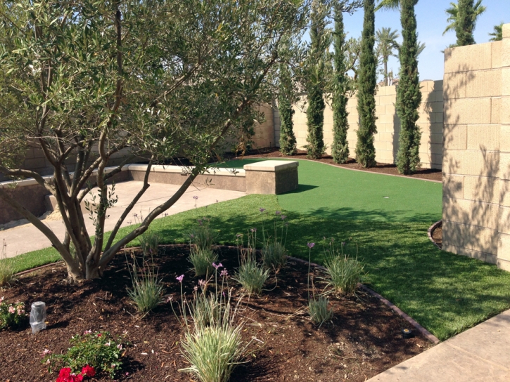 Artificial Turf Deerfield Beach, Florida Landscape Photos, Backyard Landscaping Ideas