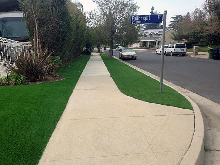 Artificial Turf Golden Glades, Florida Roof Top, Small Front Yard Landscaping