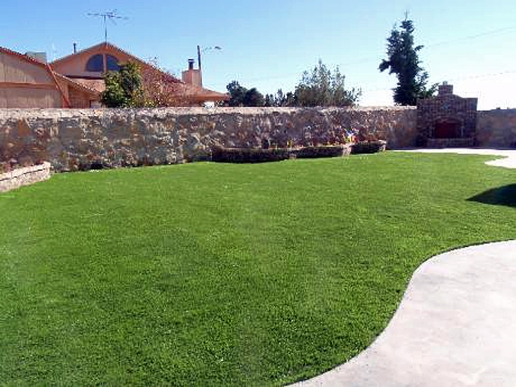 Artificial Turf High Point, Florida Paver Patio, Backyard Designs