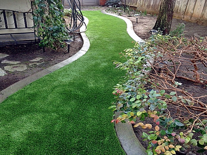 Artificial Turf Hutchinson Island South, Florida Roof Top, Small Backyard Ideas