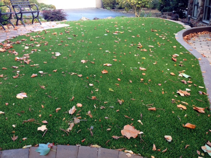 Artificial Turf Installation Cutler Ridge, Florida Design Ideas, Small Front Yard Landscaping