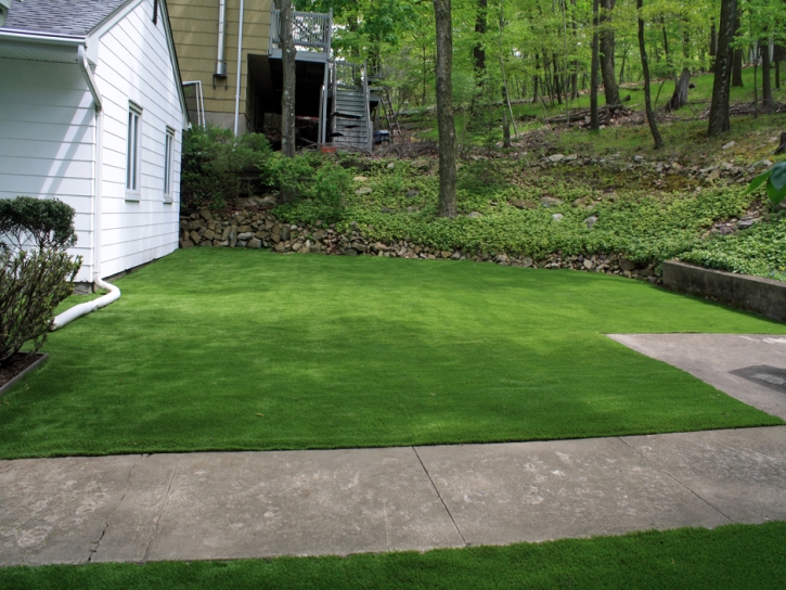 Artificial Turf Installation Indian River Estates, Florida Lawn And Garden, Front Yard Landscape Ideas