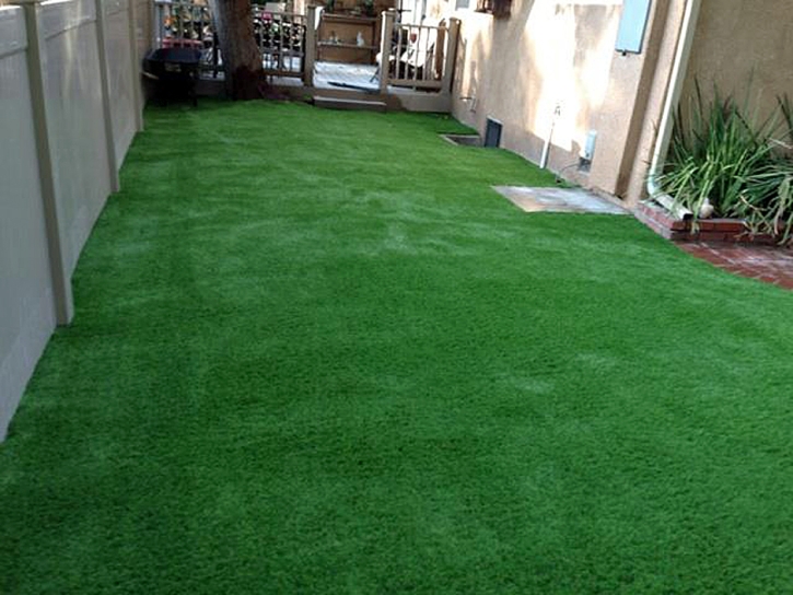 Artificial Turf Terra Mar, Florida Design Ideas, Backyard Landscaping Ideas