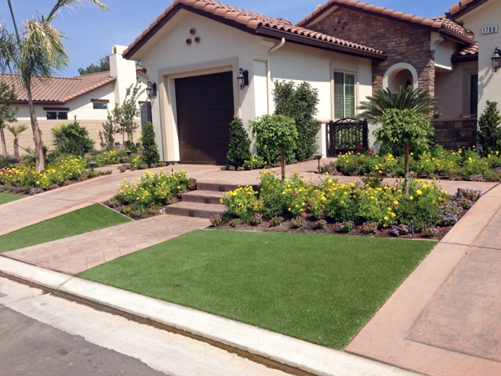 Artificial Turf Wedgefield, Florida Landscaping, Front Yard Design