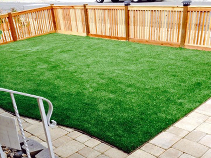 Best Artificial Grass June Park, Florida Landscape Design, Backyard Makeover