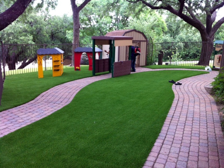 Best Artificial Grass Lazy Lake, Florida Design Ideas, Commercial Landscape