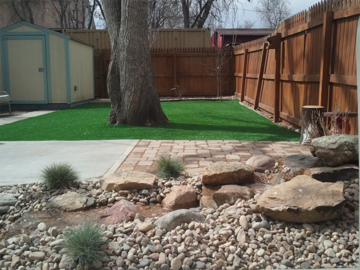 Best Artificial Grass Palmona Park, Florida Landscaping, Backyard Makeover