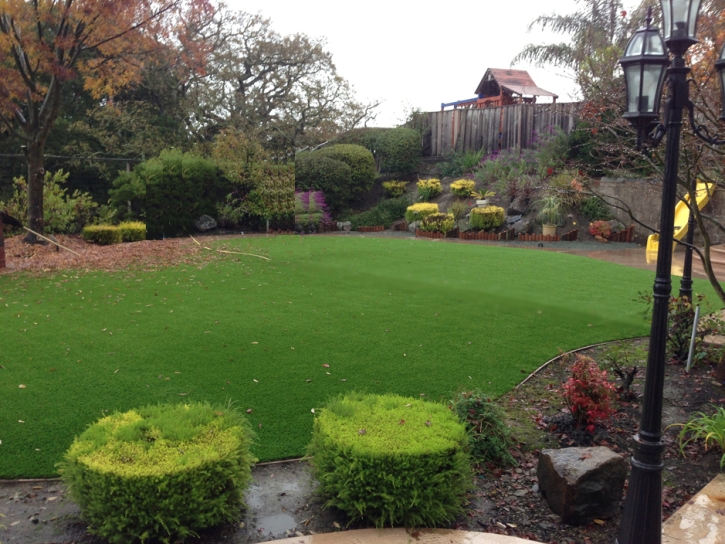 Best Artificial Grass South Miami, Florida Gardeners, Beautiful Backyards