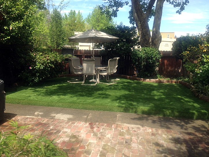 Fake Grass Carpet Country Club, Florida Backyard Playground, Backyard