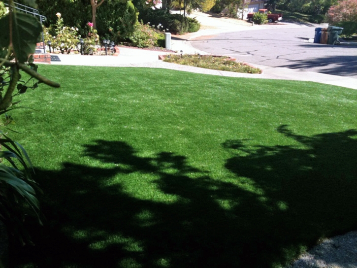 Fake Grass Carpet El Portal, Florida Gardeners, Front Yard Landscaping Ideas