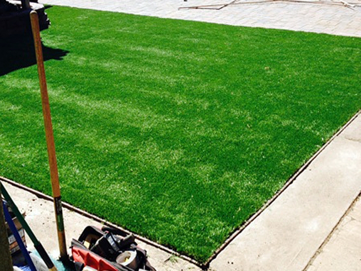 Fake Grass Carpet Fort Green, Florida Rooftop