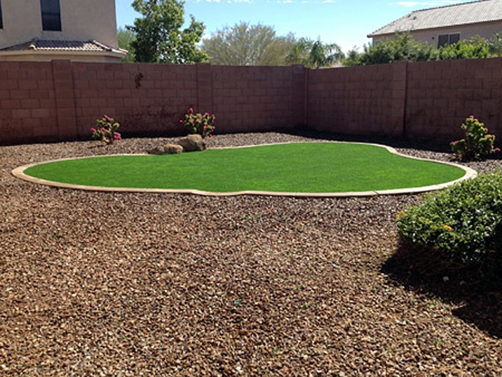 Fake Grass Carpet Golden Lakes, Florida Landscape Photos, Backyard Designs