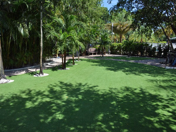 Fake Grass Carpet High Point, Florida Lawns, Commercial Landscape