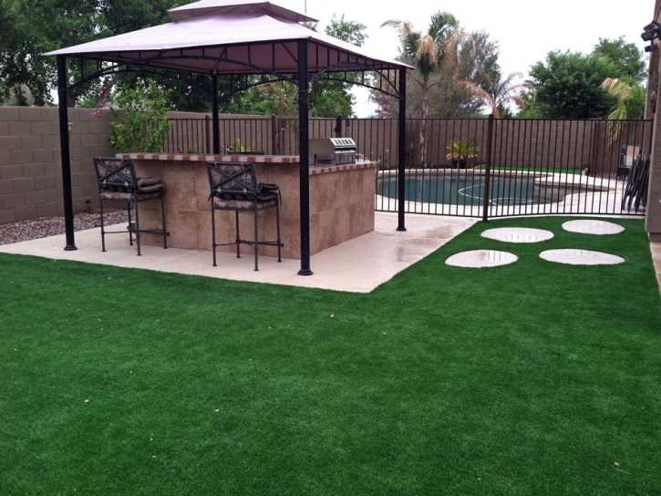 Fake Grass Carpet Hollywood, Florida City Landscape, Swimming Pools