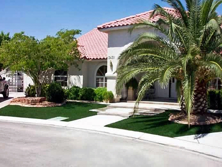 Fake Grass Carpet Lake Belvedere Estates, Florida Lawn And Landscape, Front Yard Landscaping Ideas