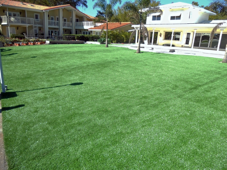 Fake Grass Carpet Lehigh Acres, Florida Design Ideas, Kids Swimming Pools