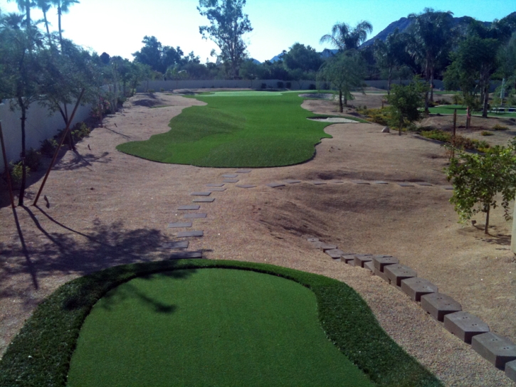 Fake Grass Carpet Lely, Florida Artificial Putting Greens, Backyard