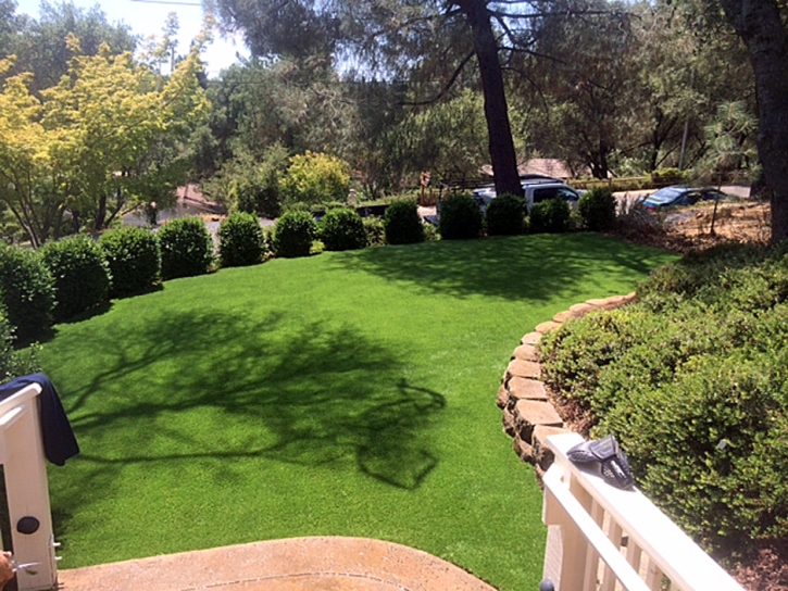 Fake Grass Carpet Miami Lakes, Florida Landscape Ideas, Backyards