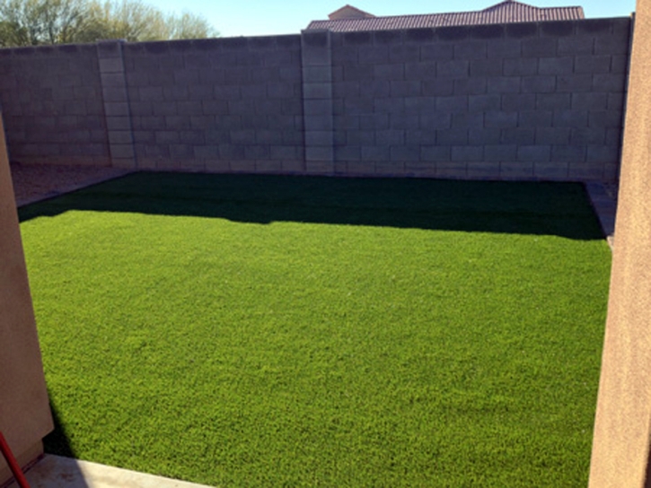 Fake Grass Carpet Royal Palm Estates, Florida Landscaping, Backyard Landscaping