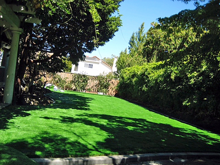 Fake Grass Carpet The Crossings, Florida Landscape Ideas, Small Backyard Ideas