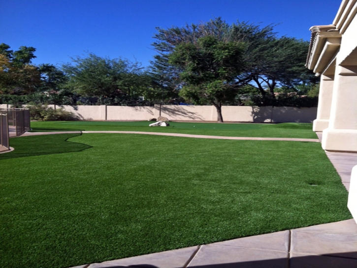 Fake Grass Carpet Whisper Walk, Florida Landscape Design, Front Yard Landscape Ideas