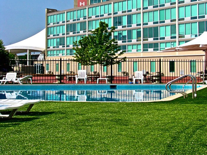 Fake Grass Clewiston, Florida Backyard Playground, Above Ground Swimming Pool