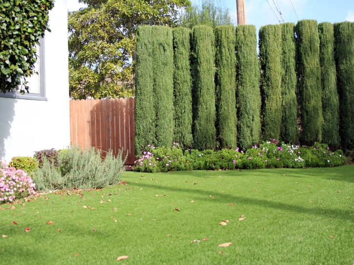 Fake Grass Cloud Lake, Florida Lawn And Garden, Front Yard Landscaping