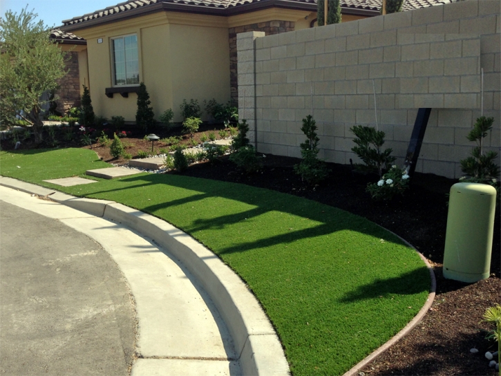 Fake Grass Lake Hart, Florida Lawn And Garden, Front Yard Ideas