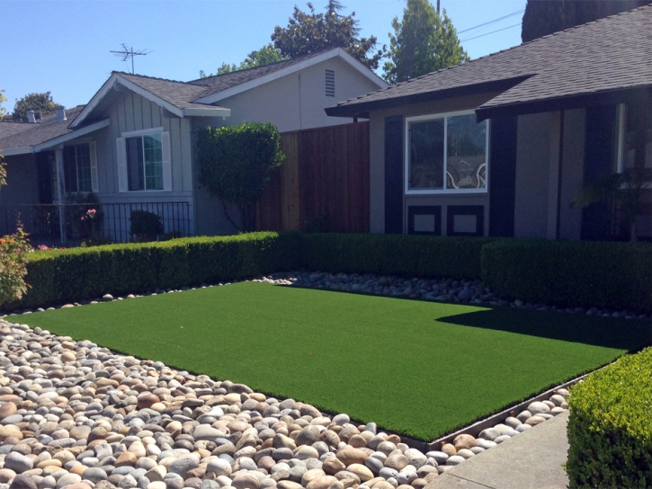 Fake Grass Melrose Park, Florida Landscape Design, Front Yard Landscaping Ideas