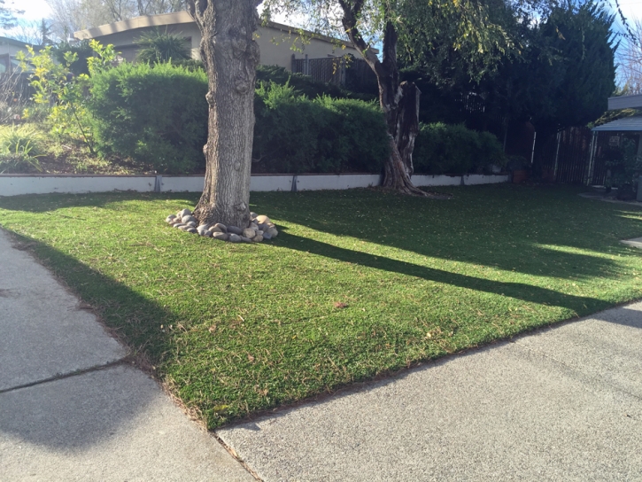 Fake Grass Rio, Florida Landscape Photos, Front Yard Landscaping Ideas