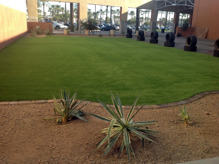 Fake Grass South Bradenton, Florida Landscape Design, Commercial Landscape